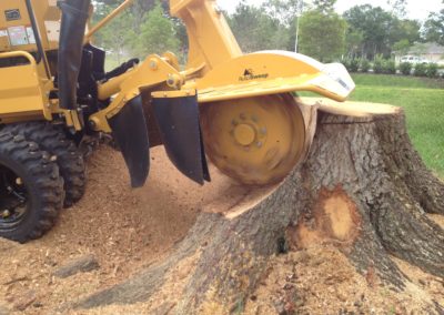 Landscaping + Tree Removal